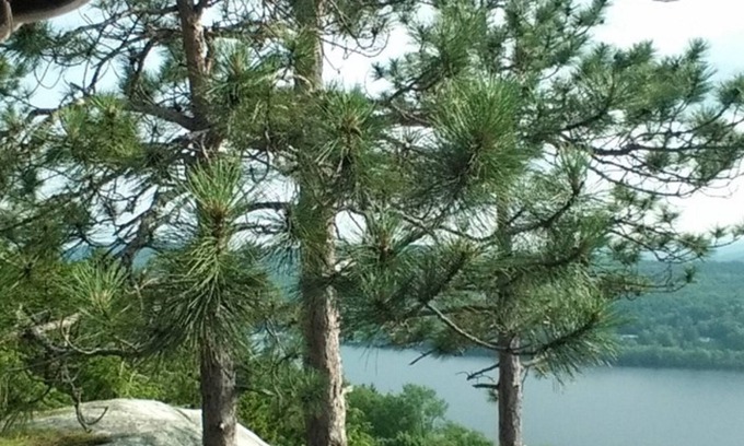 Barton Cabin | Crystal Lake Cabin