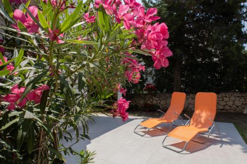 Kolanjski Gajac Apartment | Cukar Apartment Gajac