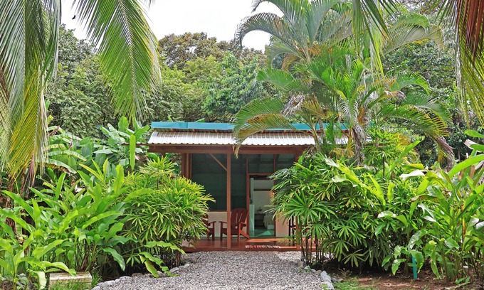 Cabo Matapalo Cabin | Cute Cabaña on 3 Beachfront Acres, Playa Carbonera