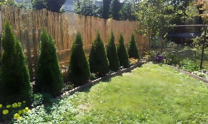 Rye House | Cute, convenient house minutes to town and to the train to NYC