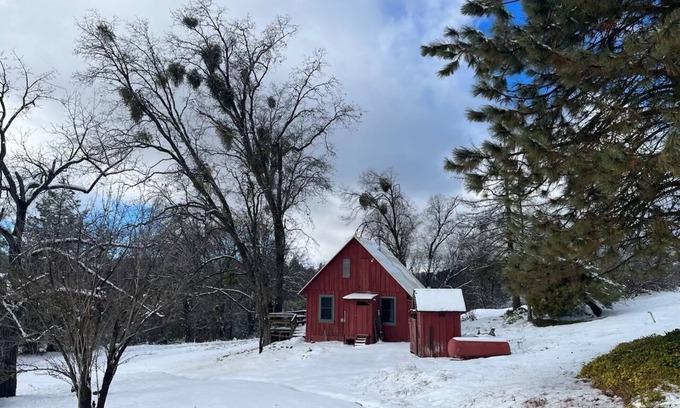 Dunlap Cabin | Cute, Cozy, Private, Little Red Cabin right outside Kings Canyon National Park
