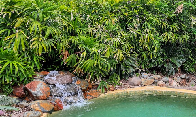 Gunn House | Cycad House: Big Family Home with waterfall plunge pool