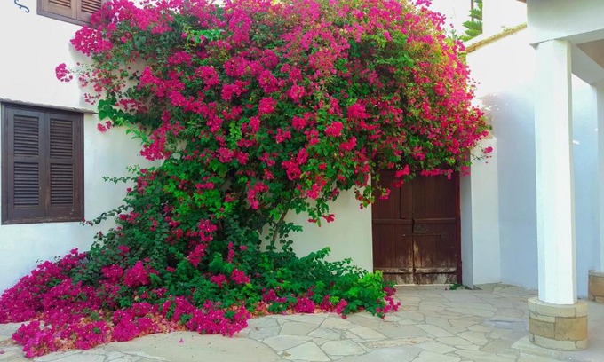 Zeytinlik House | Cyprus Village House