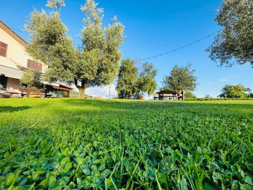 Podenzana Bed & Breakfast | Da Gambin b&b