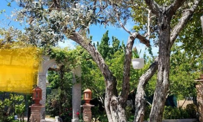 Matrice Bed & Breakfast | da Nicolo