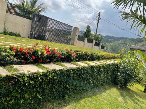 Aburi Hotel | da palm inn