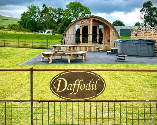 St Harmon House | Daffodil