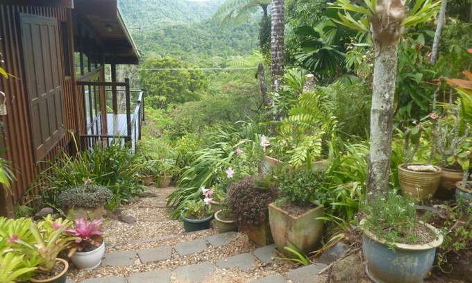 Diwan House | Daintree Holiday Homes - The Folly
