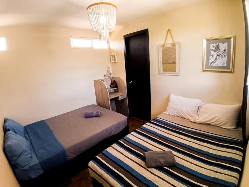 Durango House | Dalia Room, Paseo Durango