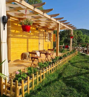 Ain Draham House | Dar Monia Aïn-Draham