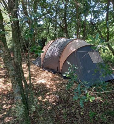 Dargle Other | Dargle campsite