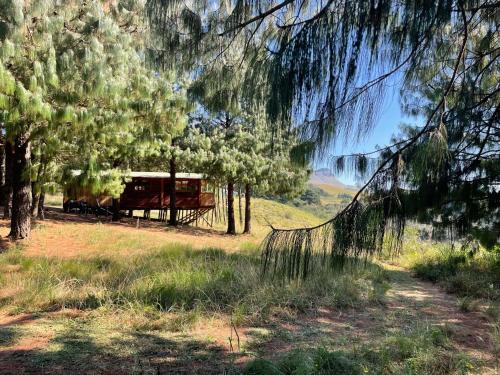 Merrivale Cabin | Dargle Forest Lodge