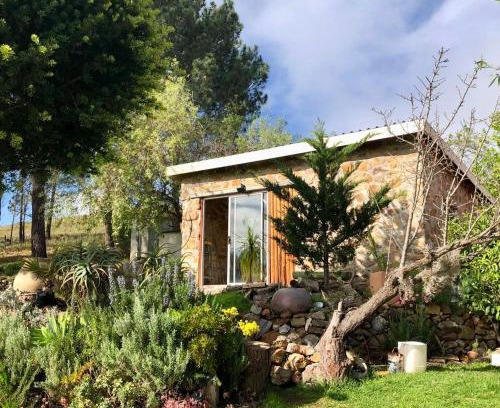 Napier House | Das Steinhaus