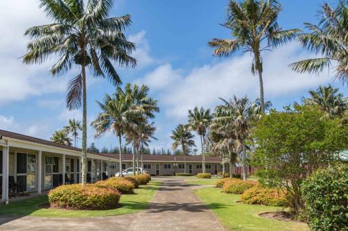 Norfolk Island Apartment | Daydreamer Apartments