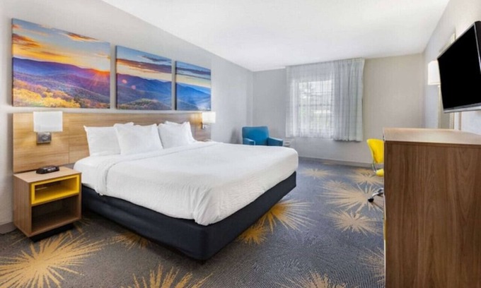 Hollins Hotel | Days Inn I81 king bed