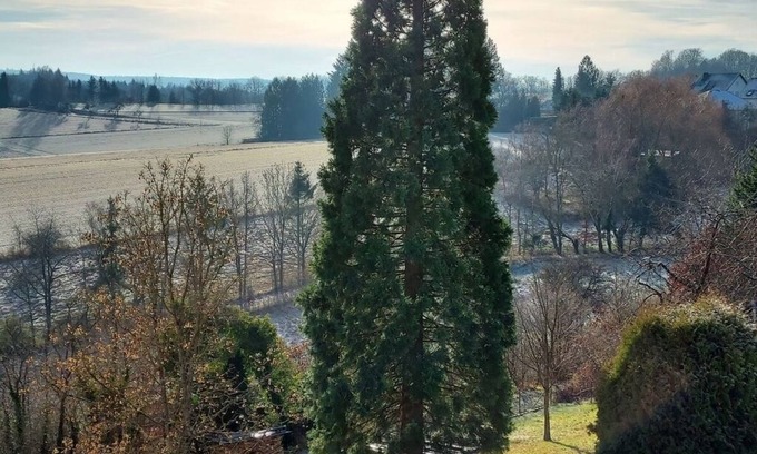 Bad Bertrich Apartment | Holiday apartment Falkenlay