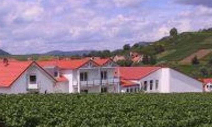 Ilbesheim Bed & Breakfast | 2-bed apartment "2a" - Weingut-Gästehaus Hans Dieter Bosch