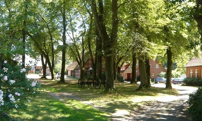 Marxen am Berge Apartment | Picturesque farm in the Lüneburg Heath, holiday apartment, pony rides