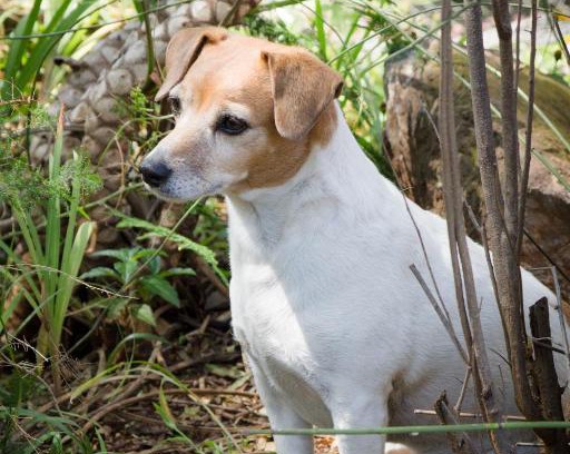 Centurion House | De Zoete Rust Guesthouse