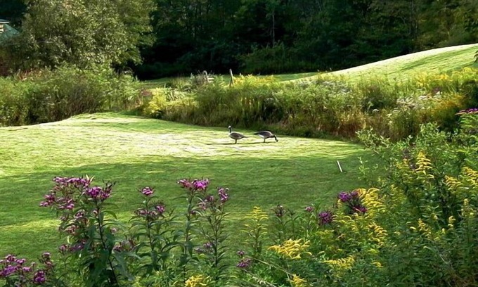 Glenville Cabin | Deal Today! Log Cabin, HotTub under Cabana, Mtn View, Lake 1 mile to Lake!