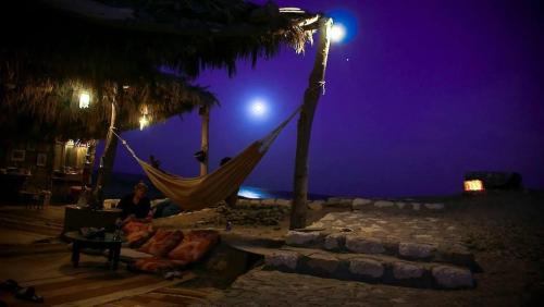 Marsa Alam Hotel | Deep south Eco-lodge