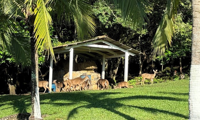 Alajuela House | Deer Creek Estate near Juan Santamaria International Airport.