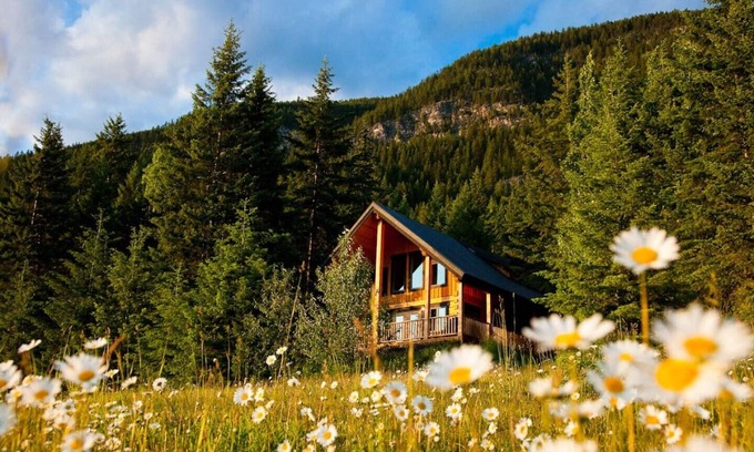 Golden Ski Chalet | Deer Lodge - 2 Bedroom Luxurious Log Cabin in Golden - with Private hot tub
