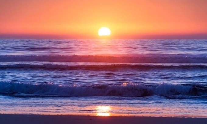 Del Mar Apartment | DEL MAR BEACH Guest HOUSE! 2 flat blocks to SANDY BEACH