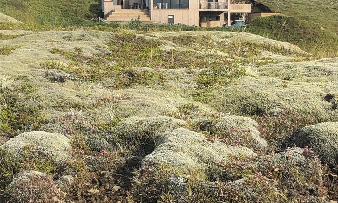 Fludir Cottage | Delightful mountain-view cottage in Golden Circle with outdoor Hot Tub & Sauna