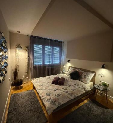 Osijek Apartment | Delux apartment Moj Osijek, SELF CHECK-IN