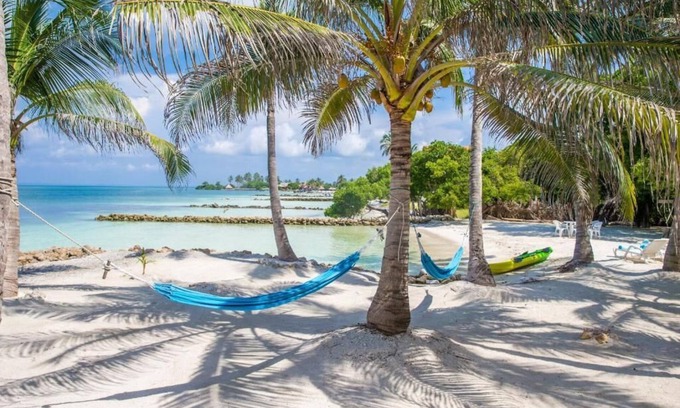 Isla Tintipan Apartment | Deluxe Room. SalSiPuedes Cabin (Only Adults) Private Beach.