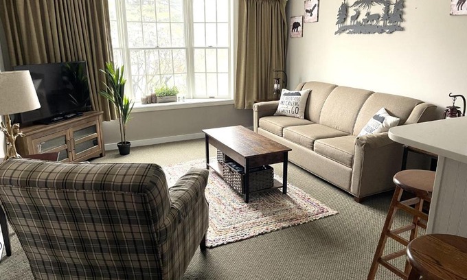Hancock Apartment | Deluxe Ski On Off 1BR Suite Sleeps 4 on Jiminy Mtn