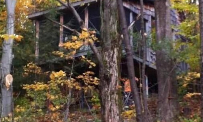 Durham Region Cabin | Deluxe Tree House 1 Hour from Toronto