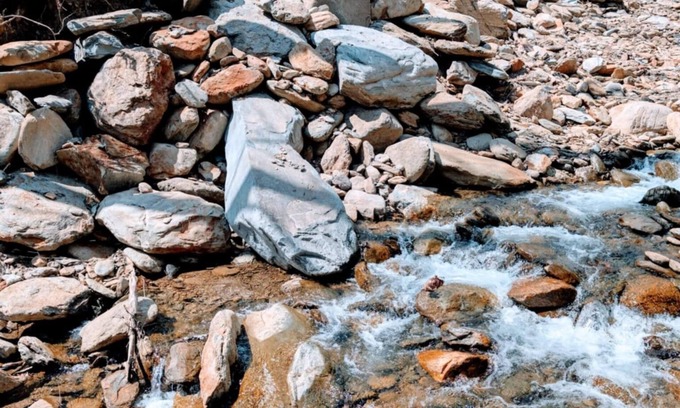 Old Fort Cabin | Dense foliage, rolling currents of Newberry Creek the perfect place to relax.