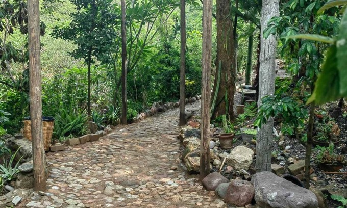 San Felipe del Agua Apartment | Departamento en medio de la naturaleza, ¡a solo 10 minutos del centro de Oaxaca!
