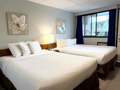 Regional District of Nanaimo Hotel | Departure Bay Motel