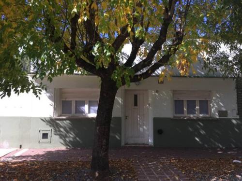 Dolores Apartment | DEPTO PAZ