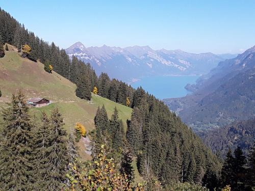 Richigen Apartment | DesAlpes