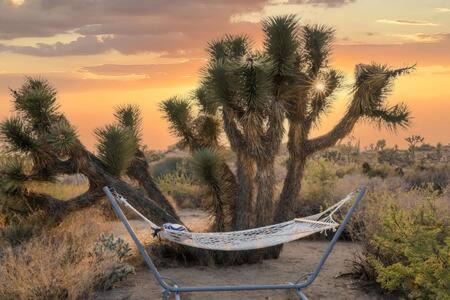 Yucca Valley House | Desert Diamond- Joshua Tree Cowboy Pool and Spa