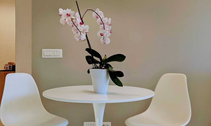Lorenteggio Apartment | Design Stay NAVIGLI Fast to Duomo, Last Supper, Galleria, Castello, La Scala