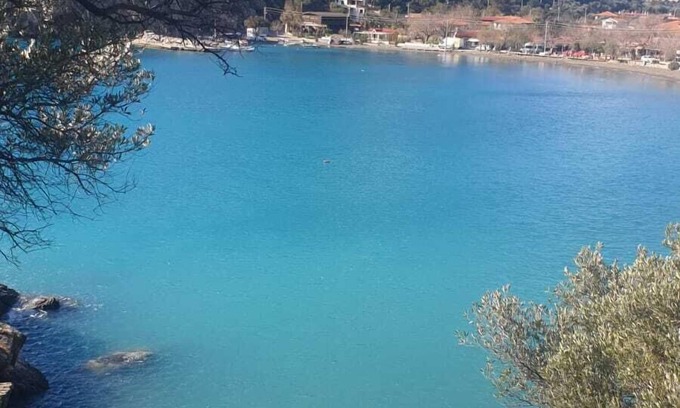 Mesudiye Villa | Detached villa