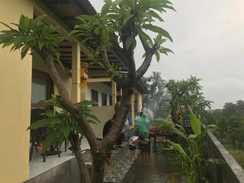 Tulamben House | Dewenten Home Stay