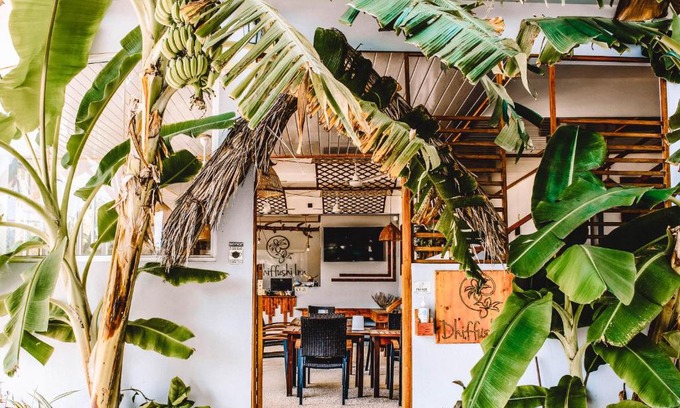 Dhiffushi House | Dhiffushi Inn