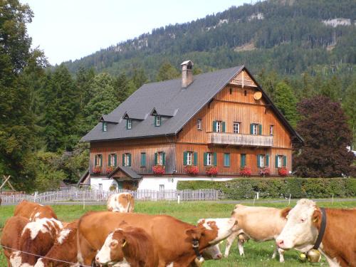 Bad Aussee Apartment | Die Traunmühle