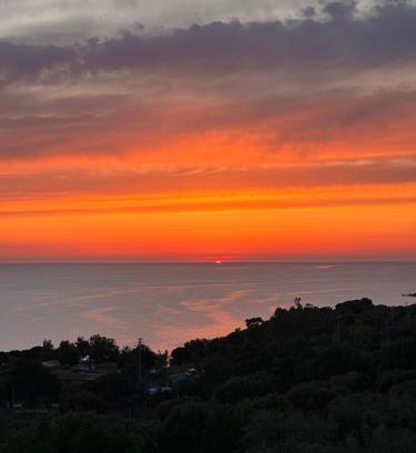 Pisciotta Bed & Breakfast | Dimora degli Ulivi