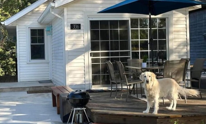South Haven House | Dog Friendly Beach Cottage within a mile of town and 7 Lake Michigan beaches