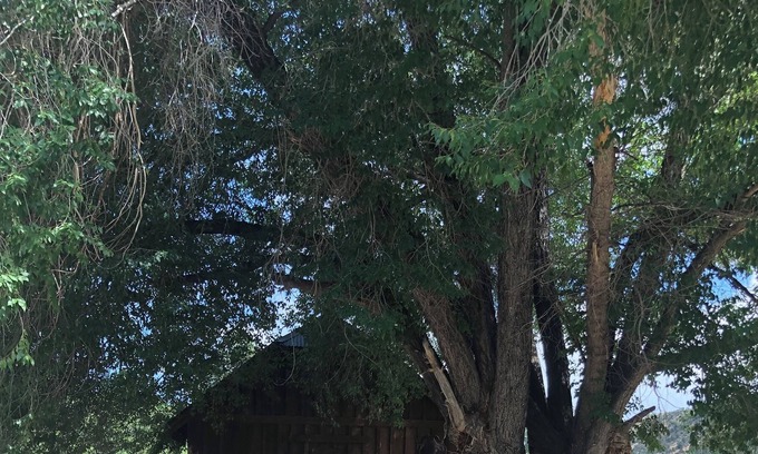 Hesperus Cabin | Dog-friendly Historic 1926 one room schoolhouse.