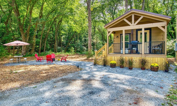 Otto Cabin | Dog-friendly riverfront cabin with mtn & river views, firepit, grill, patio, W/D