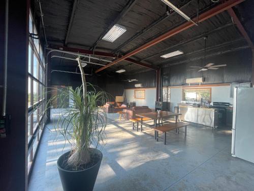 Dayton House | Dogwood climbing