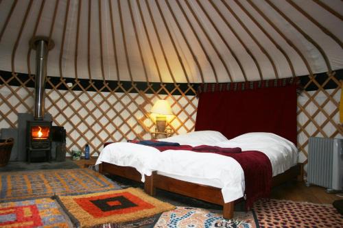 Ewhurst Green Other | Dogwood Yurt